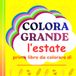 COLORA GRANDE L'ESTATE: Libro da colorare con illustrazioni creative, sole, relax e natura per bambini da 1 a 4 anni