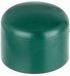 Alberts 855260 paalkap voor ronde metalen paal | kunststof, groen | voor paal-Ø 38 mm | set van 20