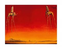 Salvador Dali Kunstdruk les Elephants