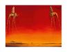 Salvador Dali Kunstdruk les Elephants