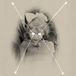 The Current 93 - The Light Is Leaving Us All (LP) (Picture Disc)