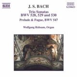 Outhere Naxos Wolfgang Rübsam - J.S. Bach: Trio Sonatas Bwv 528-530 (CD)