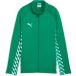 PUMA teamLIGA26 Trainingsjack Jr, 140, Sport Groen Wit-Sport Groen