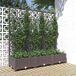 Maison Exclusive - Pot de plante de jardin avec treillis, marron, 120 x 40 x 121,5 cm, plastique PP