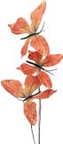 Clayre & Eef Decoratie Tak Vlinder 10x10x65 cm Oranje Textiel