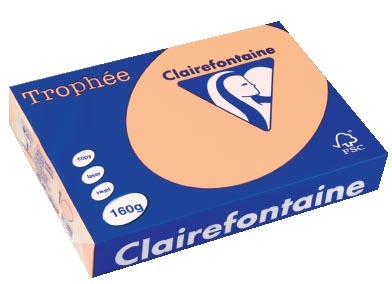 Clairefontaine Trophée Pastel A4 zalm 160 g 250 vel