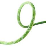 Edelrid Corde d'escalade Edelrid Static Low Stretch 11,0 mm