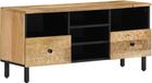 vidaXL Meuble TV 100x33x46 cm manguier massif