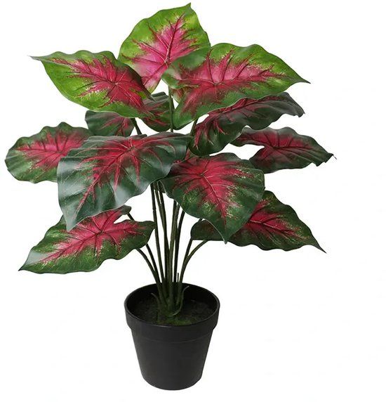 Buitengewoon Boet Kunstplant Caladium rood - 40cm