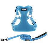 Best Pet Supplies Voyager Adjustable Step-in Flex Breathable Mesh Dog Harness for Small Medium Large Dogs Leash Set (Baby Blue), M
