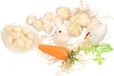 Koopman International Oeufs de Pâques - 20 pièces - incl. lapin de Pâques - poussin de Pâques - blanc