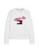 Tommy Hilfiger Trui marine / rood / wit