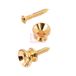 Yellow Parts EZ1399G strap button goud met schroef 2 stuks