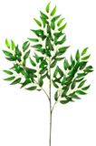 Mica Decorations Kunstplant takken Ruscus - H72 cm - lichtgroen