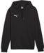 Puma Teamgoal Casuals Hoodie