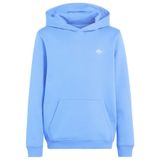 adidas Originals REGULAR FLEECE HOODIE