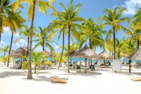 VGDesign Tropisch strand met parasols 70x50 tuinposter banner