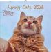Alfaedition Funny Cats 2026 Wandkalender