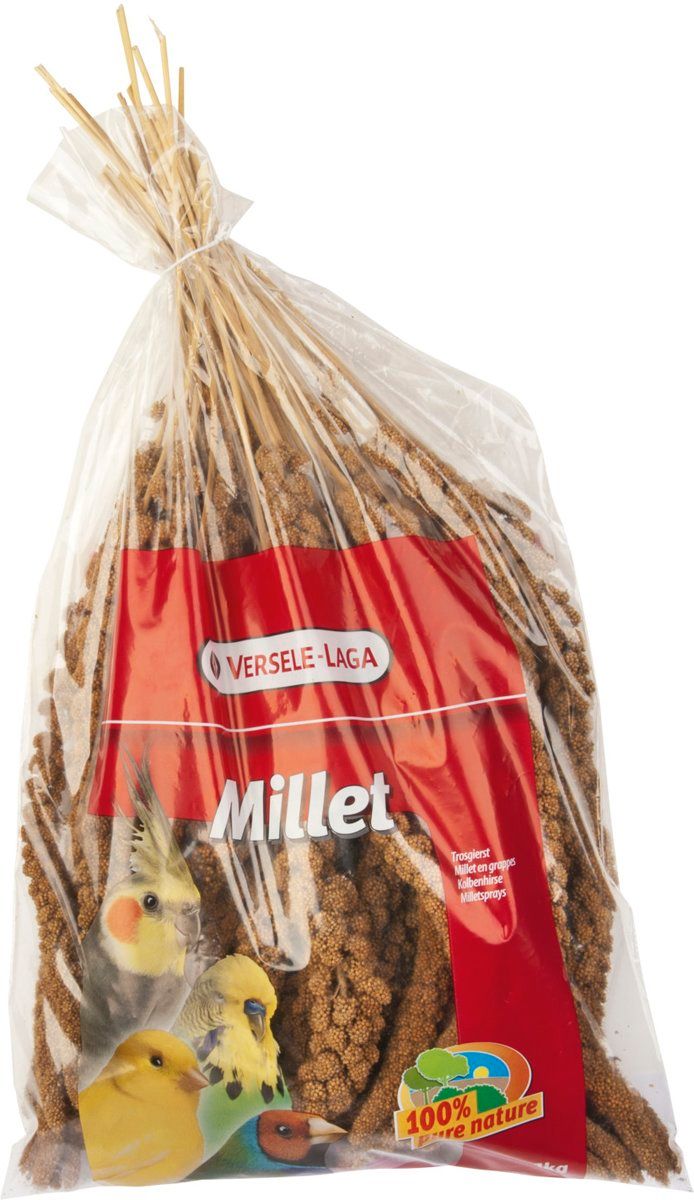 VERSELE-LAGA Trosgierst 1 kg