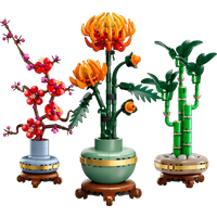 LEGO Aziatisch plantentrio 10344 + 10369