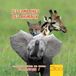 Sony Music Les Comptines Des Animaux