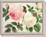 Creative Tops Rose Garden Laptray, Schoot Dienblad, 44 x 34 cm, Roze, Hout