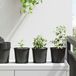 Maison Exclusive - Pot de fleurs en cuir de bovin, 200 pièces, noir, Ø 15 x 13 cm, plastique