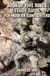 Book Icecat Book of Five Rings Study Guide for Modern Gunfighters
