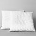 vidaXL Kussens - Traagschuim - 70x60x14 cm - 2 stuks