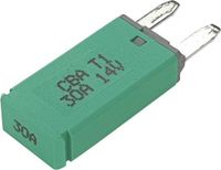 Hansor CBA1-3014 Zekeringautomaat standaard vlakzekering 30 A Groen 1 stuk(s)