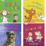 Learn Phonics Bug Learn to Read at Home: Pack 3