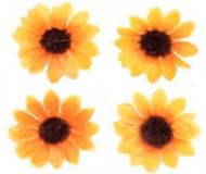 GLOREX 63803593, Kunst-/knutselset voor kinderen, Zwart, Oranje, Jongen/meisje, 15 stuk(s)