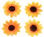 GLOREX 63803593, Kunst-/knutselset voor kinderen, Zwart, Oranje, Jongen/meisje, 15 stuk(s)