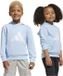 Adidas Essentials Big Logo Hoodie Blauw 4-5 Years Jongen