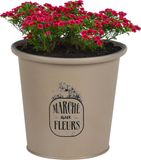 Sunnydays Plantenpot - Zink - Taupe - D14 x H13 cm