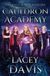 Cauldron Academy: The Magic Mirror Series Paperback