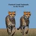 Fastest Land Animals in the World Kids Book: Great Book about the Fast Land Animals on Earth