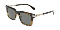 Ferragamo SF2103S Khaki horn 53/21/145 MAN Zonnebrillen
