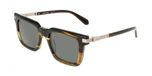 Ferragamo SF2103S corne kaki 53/21/145 homme lunettes de soleil