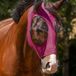 QHP Vliegenmasker Super Bug Roze - Shetlander