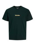 JACK & JONES Shirt 'JJKENDRICK' chamois / donkergroen / wit