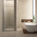 Wiesbaden Less Porte de douche 80 x 200 cm Verre clair - Acier brossé
