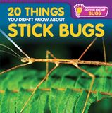20 Stick Bugs 20 Things You Didn't Know about Stick Bugs