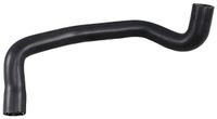 METZGER Tuyau de refroidissement, tuyau d'eau pour FORD FOCUS (DAW, DBW), numéro d'article 2421442