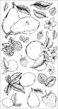 Set Sizzix Clear Stamps Botanical Fruit (666611)