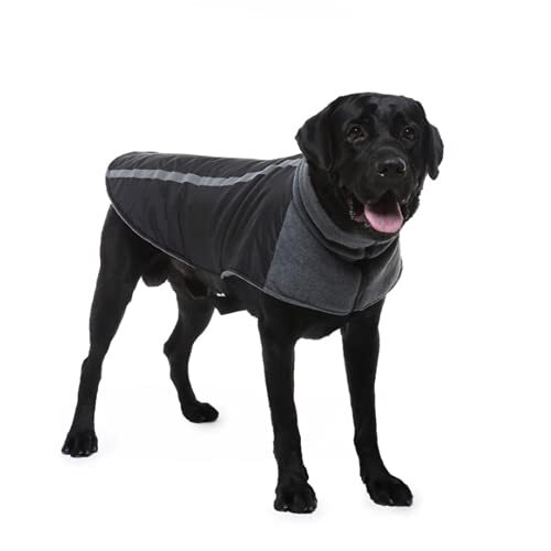 JRKJ Winter Dog jas kleding Waterdichte reflecterende grote hondenjas Soft High Collar Dog Vest voor Medium Large Dogs S-2XL