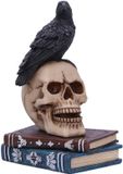 Nemesis Now Raven's Spell Beeld/figuur - Multicolours