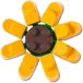 Crocs Jibbitz 4LW Botanicals 1