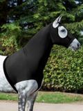 LeMieux Lycra Hood Zwart