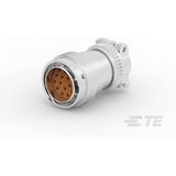 TE Connectivity HD36-24-16PE-L006 Male behuizing (kabel) Inhoud: 1 stuk(s) Box